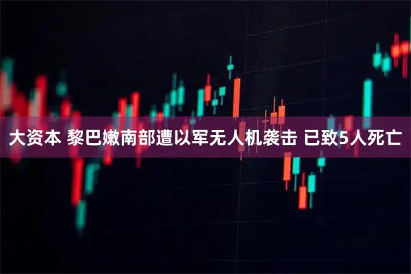 大资本 黎巴嫩南部遭以军无人机袭击 已致5人死亡