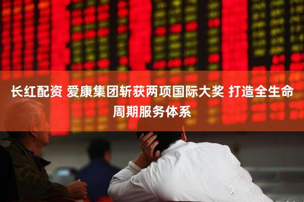 长红配资 爱康集团斩获两项国际大奖 打造全生命周期服务体系