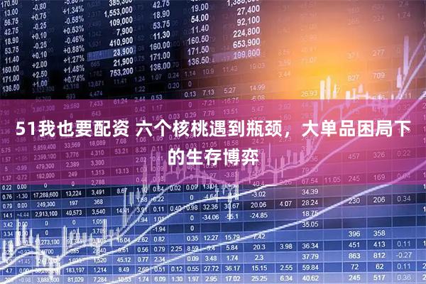 51我也要配资 六个核桃遇到瓶颈，大单品困局下的生存博弈