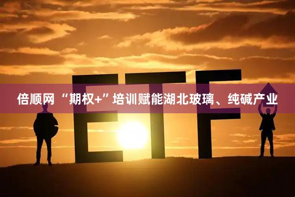 倍顺网 “期权+”培训赋能湖北玻璃、纯碱产业